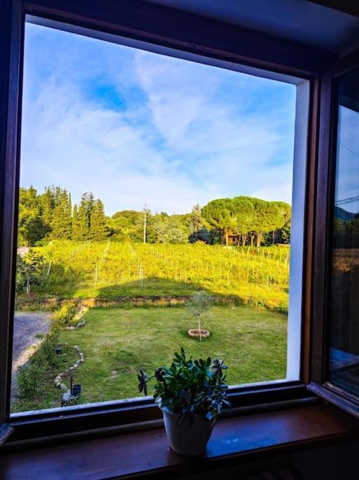 カパンノリLa Casa Nella Vigna Colline Del Vinoアパートメント エクステリア 写真
