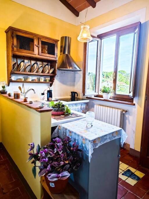 カパンノリLa Casa Nella Vigna Colline Del Vinoアパートメント エクステリア 写真