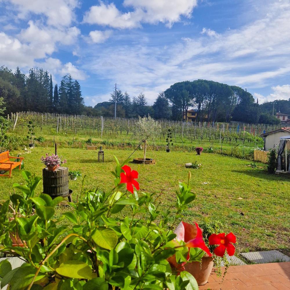 カパンノリLa Casa Nella Vigna Colline Del Vinoアパートメント エクステリア 写真