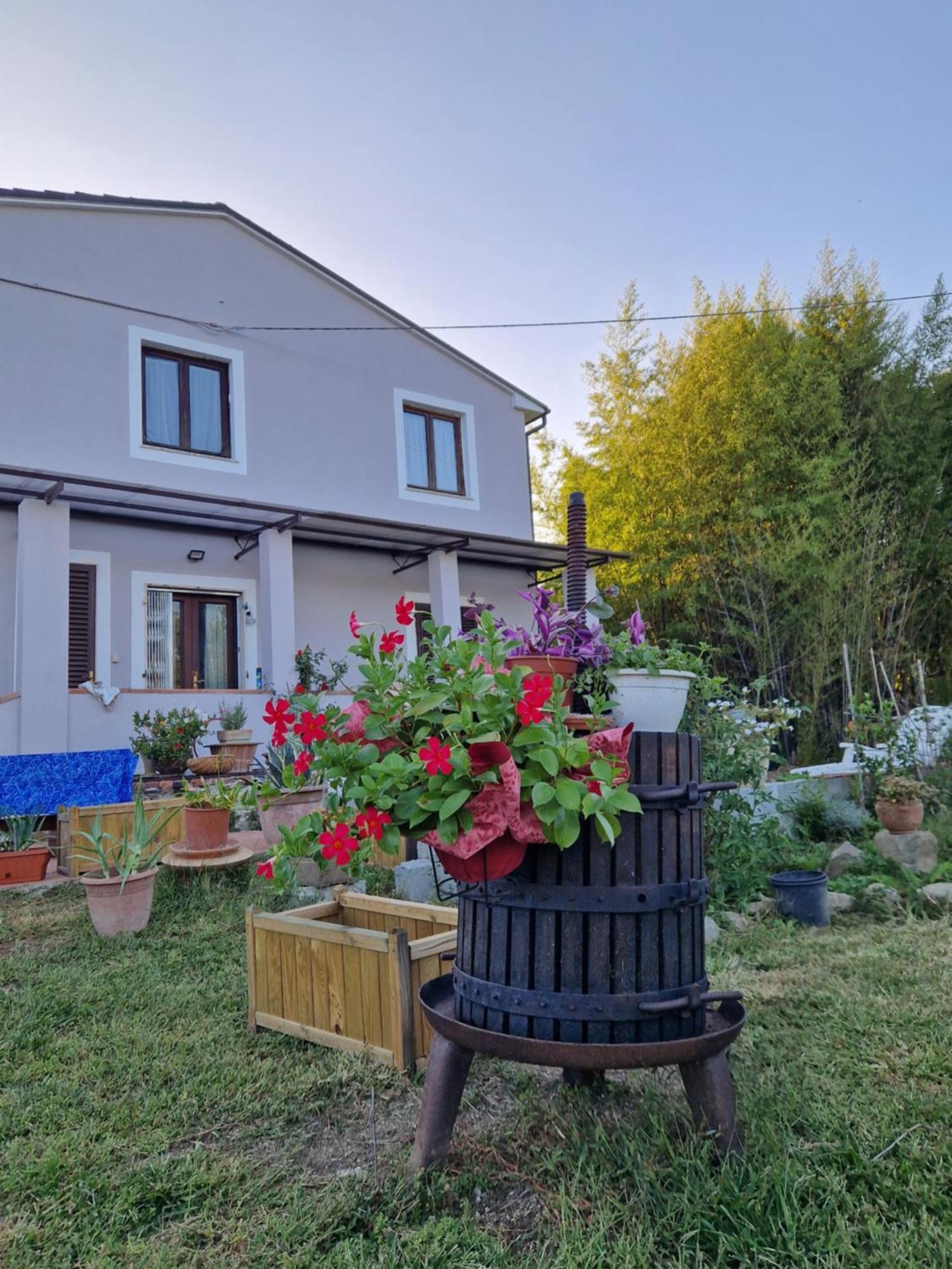 カパンノリLa Casa Nella Vigna Colline Del Vinoアパートメント エクステリア 写真