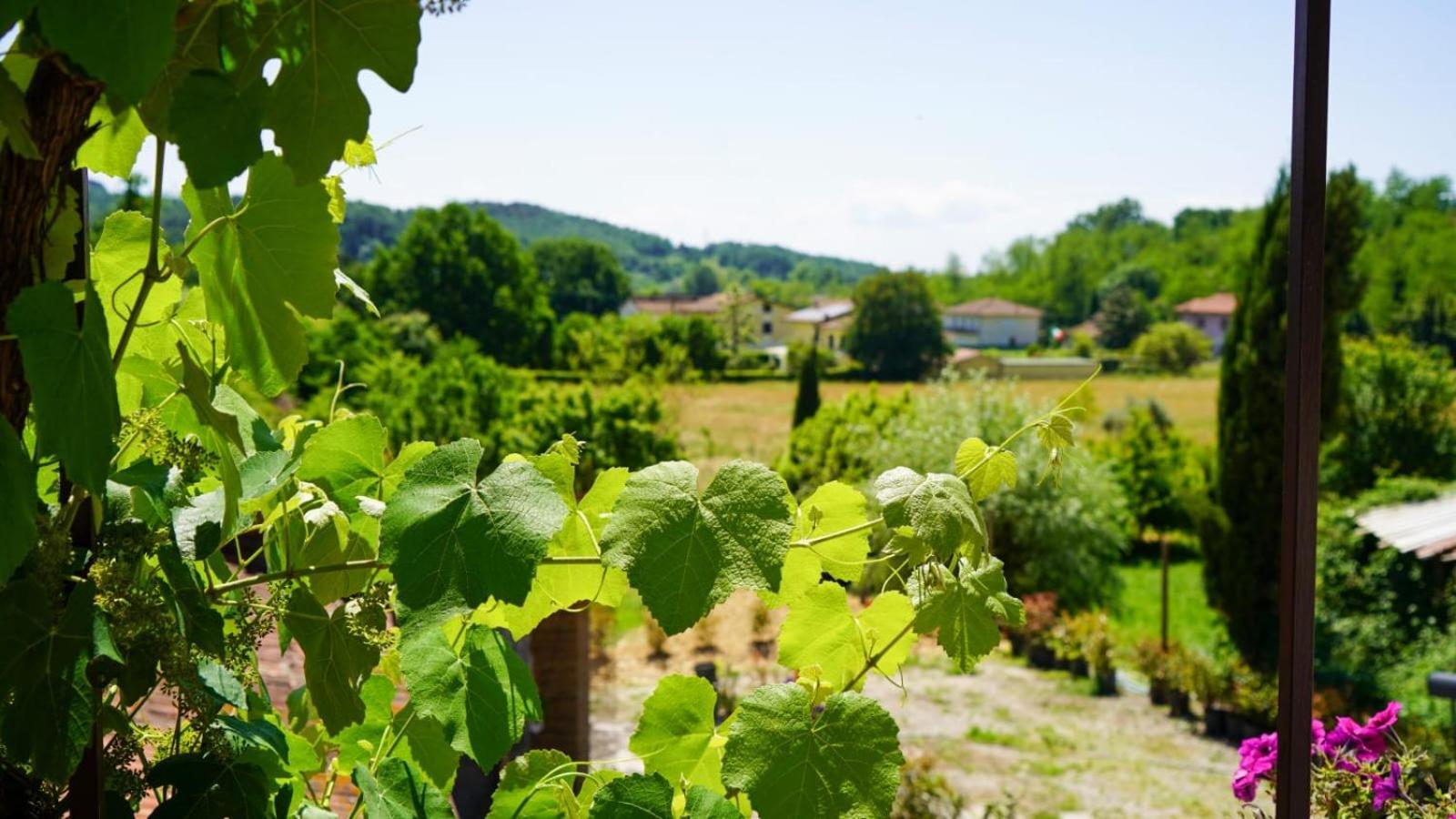 カパンノリLa Casa Nella Vigna Colline Del Vinoアパートメント エクステリア 写真