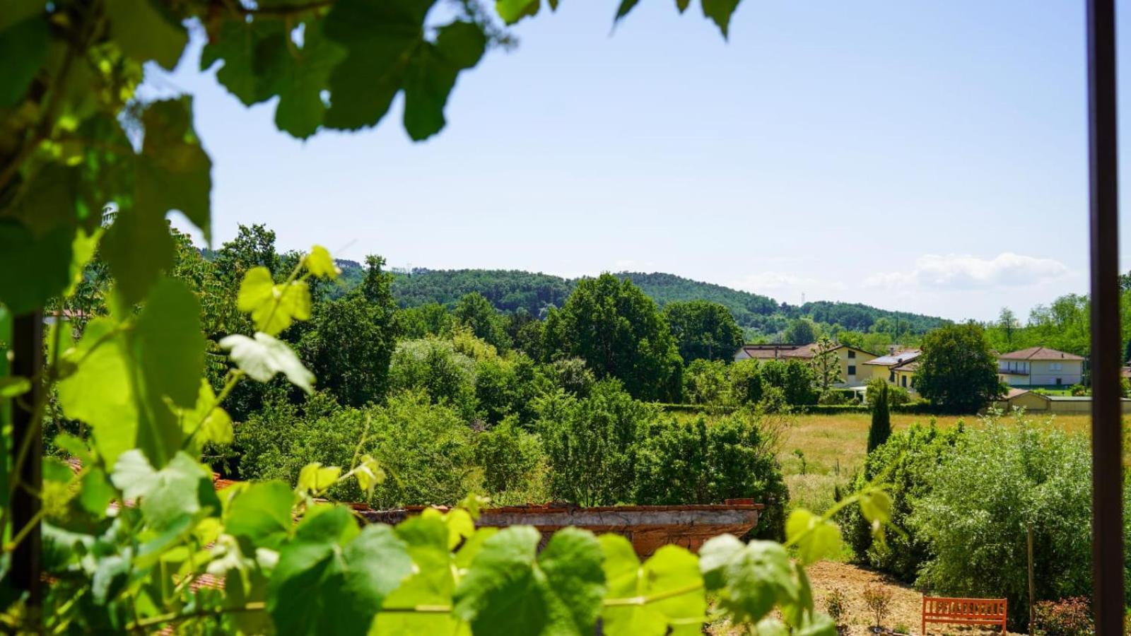 カパンノリLa Casa Nella Vigna Colline Del Vinoアパートメント エクステリア 写真